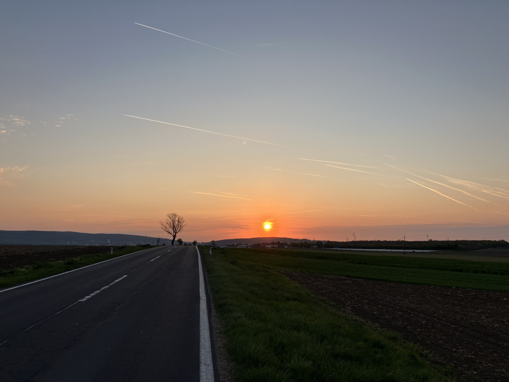 20260419_061342