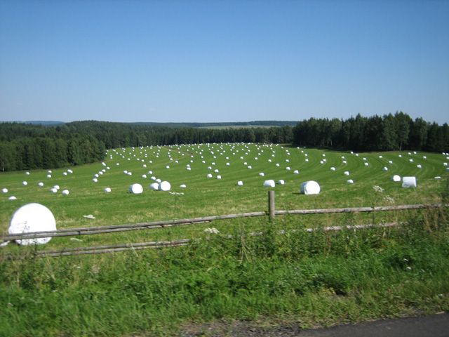 In den Hügeln vor Luby